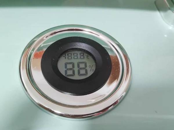 猫猫的最爱，遛弯的神器