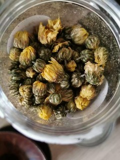 陈一凡 胎菊花茶