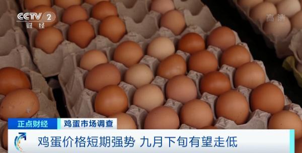 不“蛋”定了！鸡蛋批发价快速上涨，1斤涨1元！