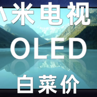 OLED真的卖5000元档？