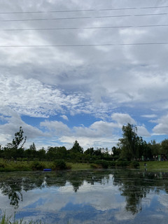 苹果11 日常样张