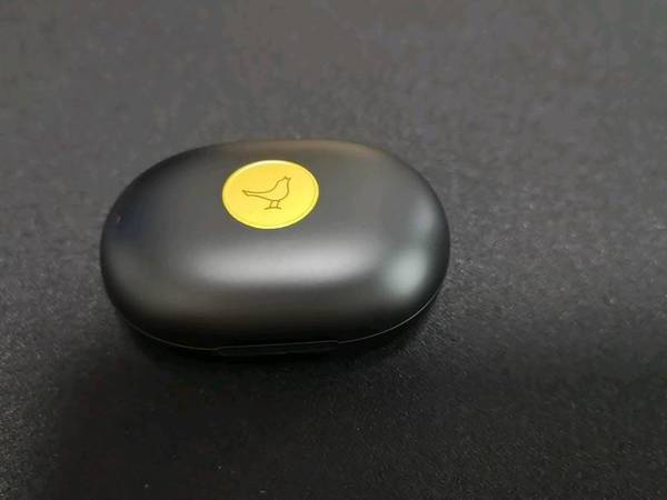 小鸟TRACK Air+ SE真无线耳机