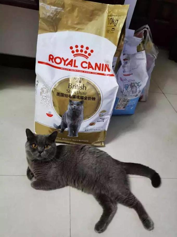 皇家猫粮