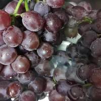 聚果臻品葡萄