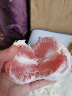南非葡萄柚