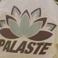 悠然自得，adidas x Palace「PALASTE」胶囊系列发布啦！