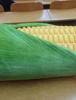 玉米抱枕