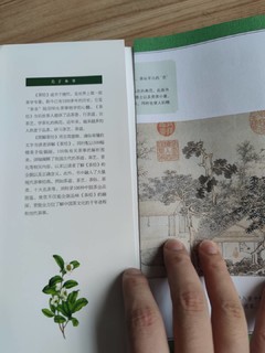 茶道入门必备的图解茶经