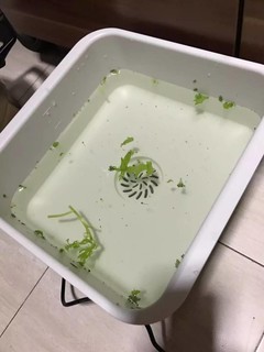 果蔬清洗机