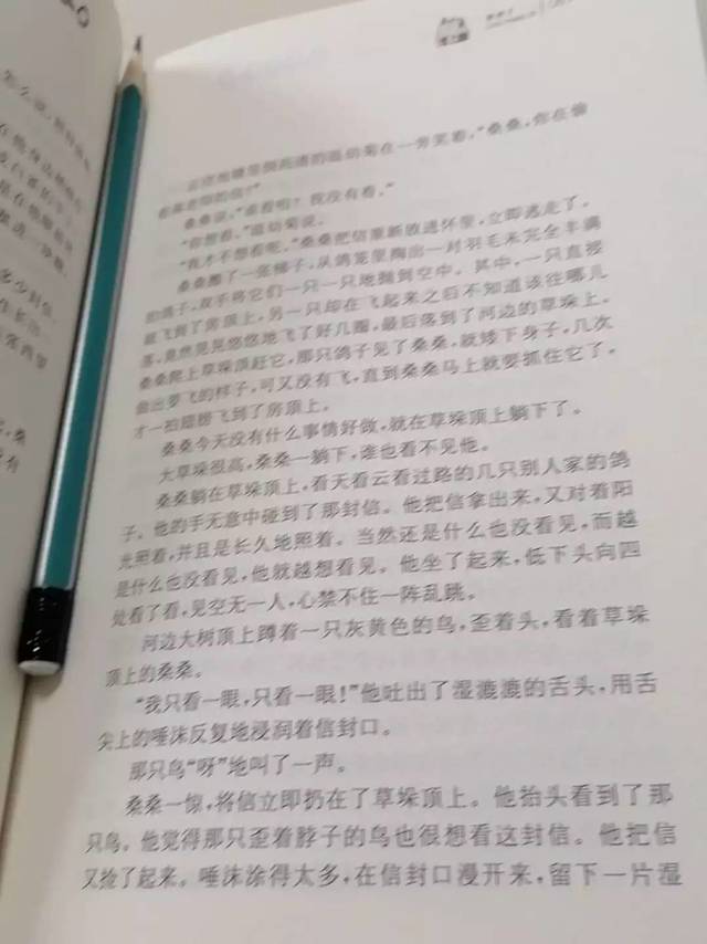 曹文轩纯美小说：草房子