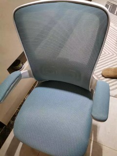 人体工学靠背椅521Z 3代经典版