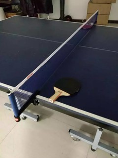 红双喜(DHS)乒乓球网比赛网架