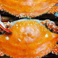 挑梭子蟹，只要有1个特征，大多是“空壳蟹”，购买时可要小心