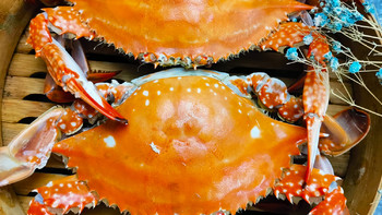 挑梭子蟹，只要有1个特征，大多是“空壳蟹”，购买时可要小心