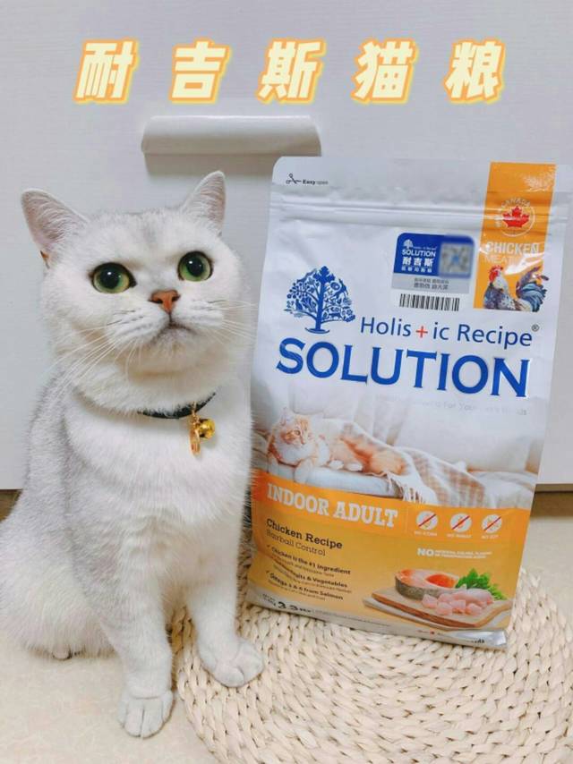 有囤货的不妨试试耐吉斯猫粮