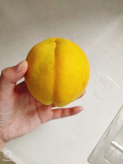 2021黄桃季——第一个锦绣黄桃的第一口