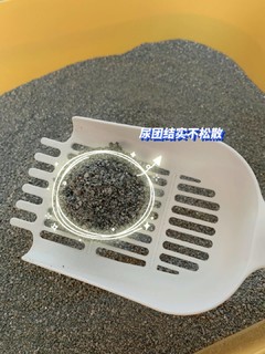 清爽干净的铲屎氛围就靠它了