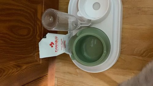 新手养猫， 幼猫粮推荐