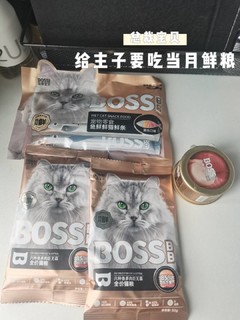 猫猫超爱的猫粮来咯！