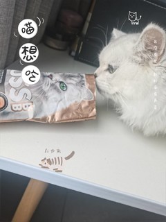 猫猫超爱的猫粮来咯！