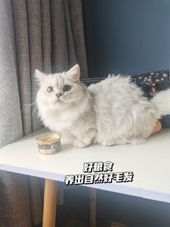 猫猫超爱的猫粮来咯！