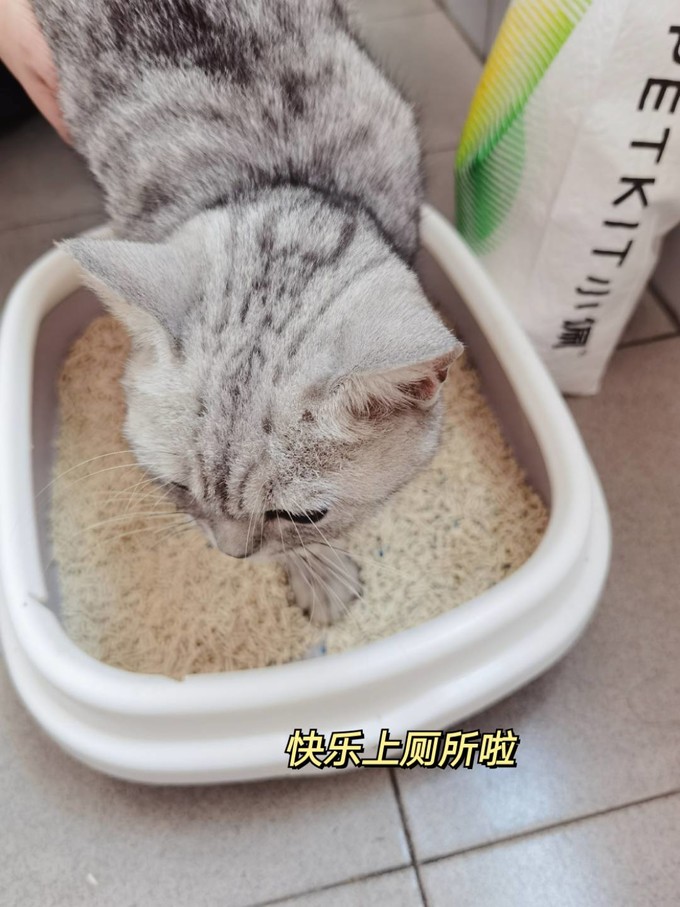 小佩猫砂