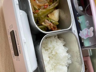 九阳电热饭盒