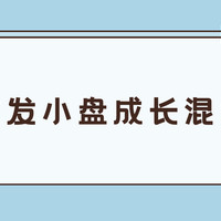 【季报更新】广发小盘成长：继续加仓新能源，是赌徒还是高手？