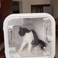 猫咪洗澡烘干器