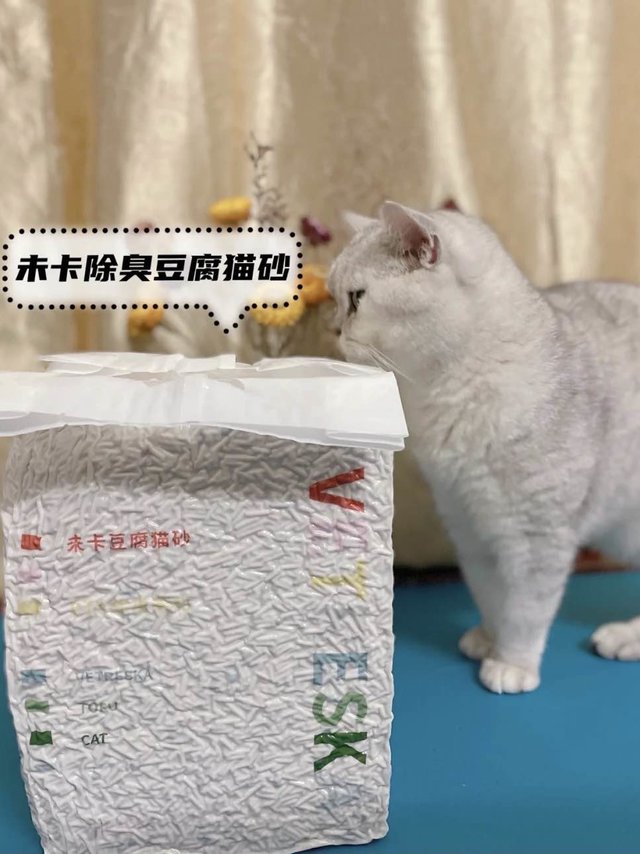 你还在等什么?马上换这款豆腐猫砂!