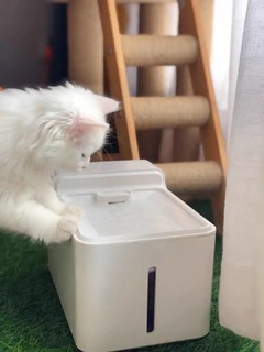 猫咪狗狗自动饮水器 智能循环杀菌