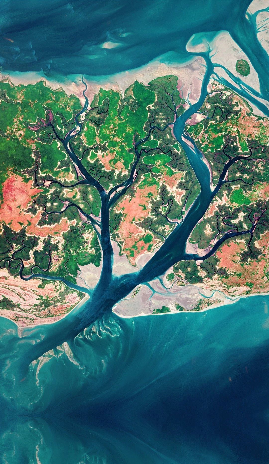 附近的一个岛屿上延伸出来洋流像树枝一样在西非海岸简直就是一幅油画