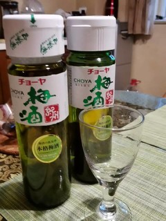 蝶矢带梅子本格梅酒