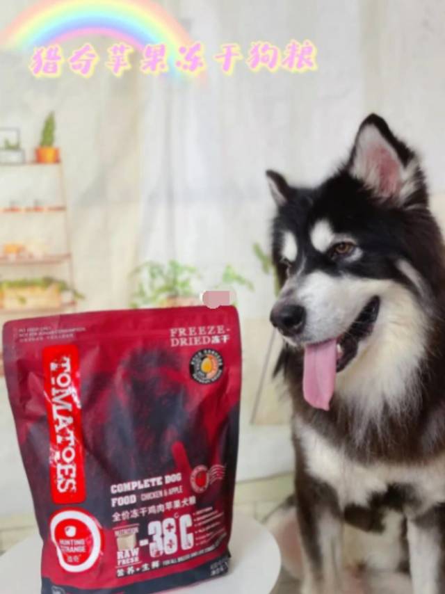 狗粮分享  猎奇