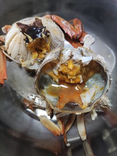 六月黄，心太急了那么早开启吃螃蟹的季节！