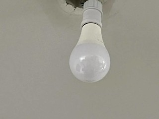 LED灯泡