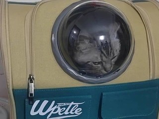 帆布太空舱宠物背包
