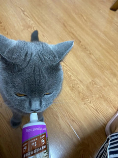 谷登 猫咪营养膏