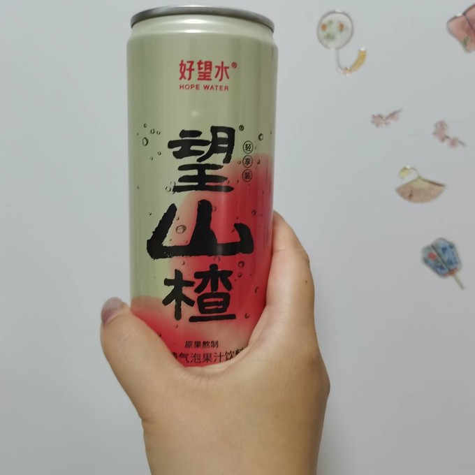 好望水果汁饮料