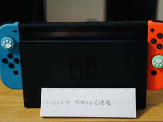 吃灰神器，怎么能少的了switch