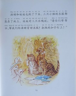 穿衣服的猫——汤姆