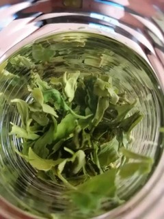 云雾绿茶