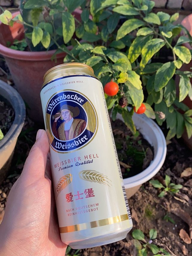 我爱喝啤酒之爱士堡小麦白啤酒