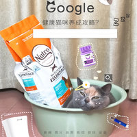 健康小胖猫养成攻略！猫粮推荐