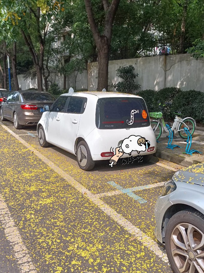 欧拉新能源车