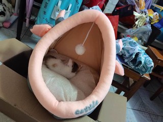 宠物猫床四季可用