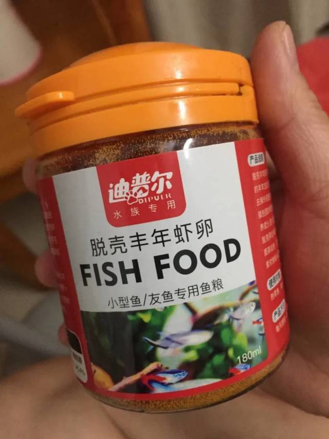 成年鱼和小鱼都相当喜欢吃