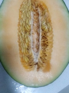 超级好吃的哈密瓜
