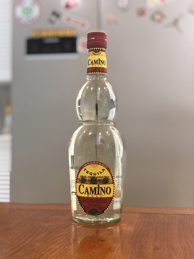 呛口小辣椒—懒虫(Camino)金龙舌兰