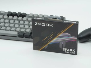 小众内存内存 ZADAK SPARK